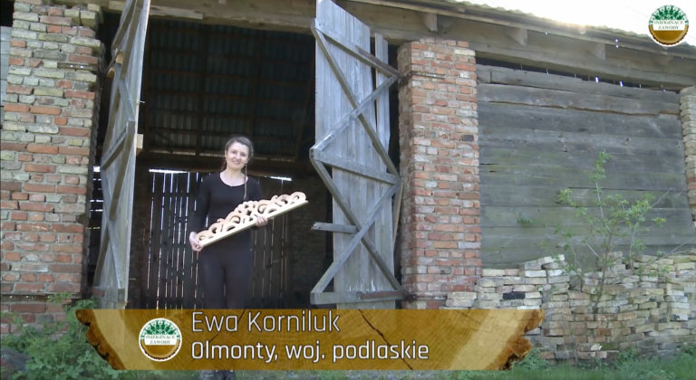 Pierwszy film prezentujący wyniki Badań Jakościowych